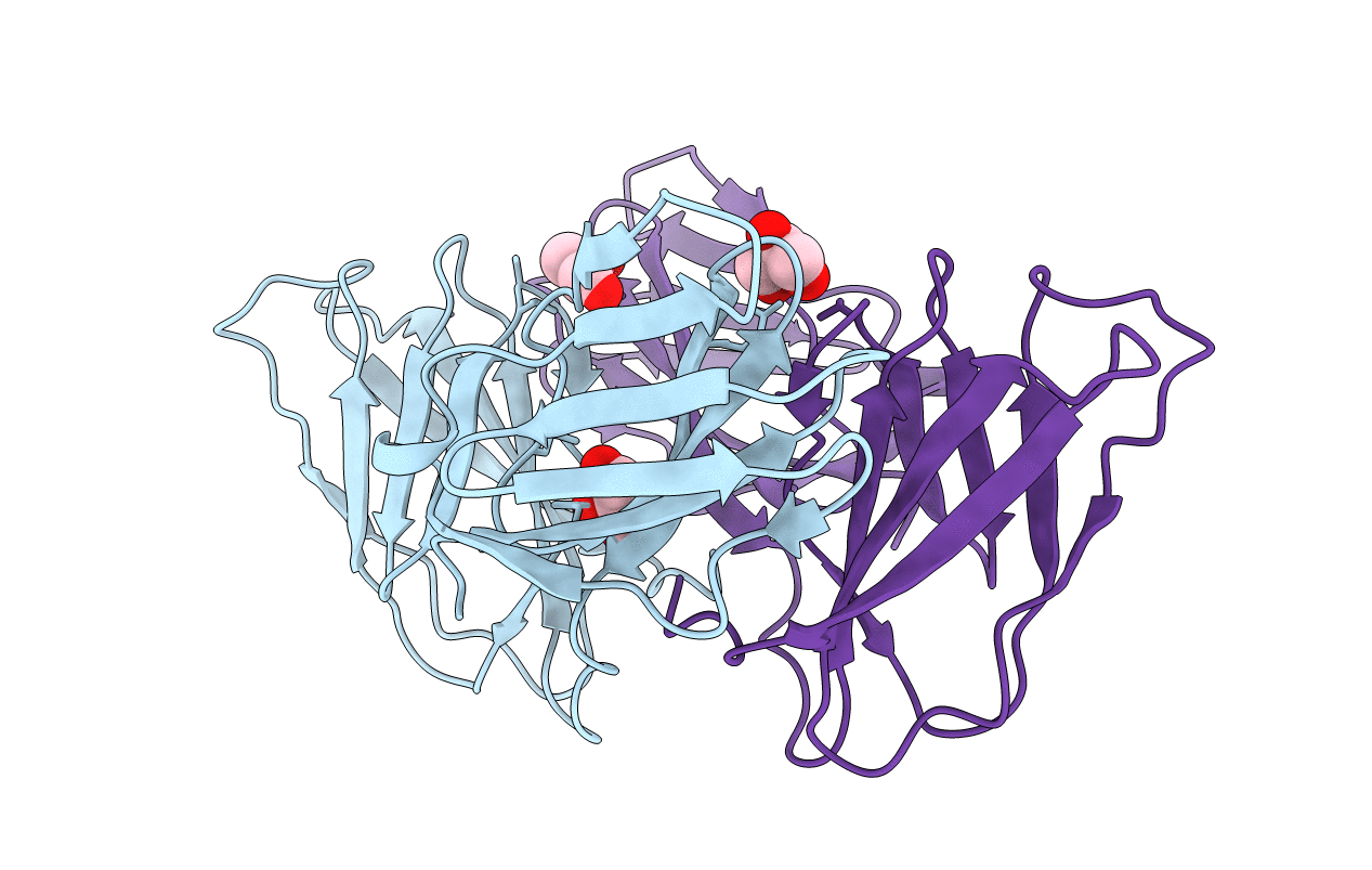 5A9D image