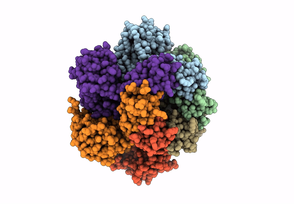 5A9K image