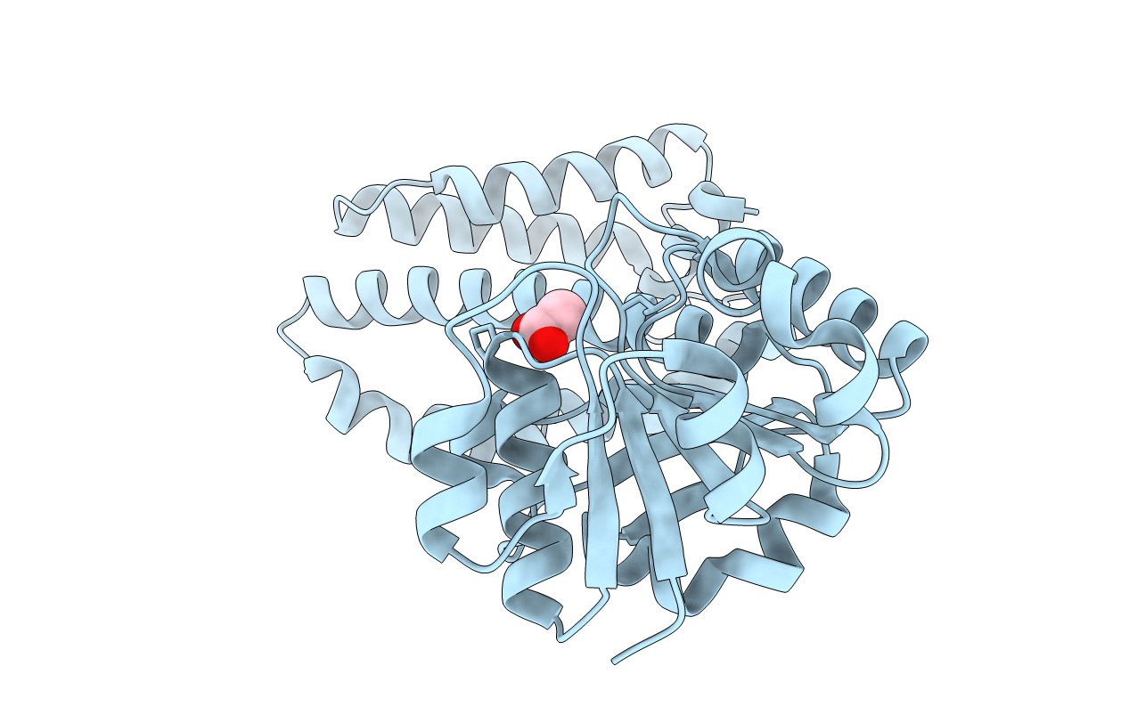 5A9R image
