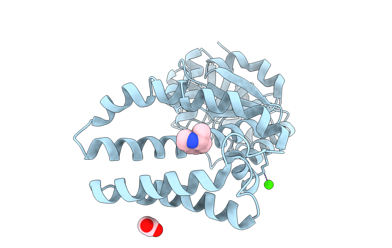 5A9T image