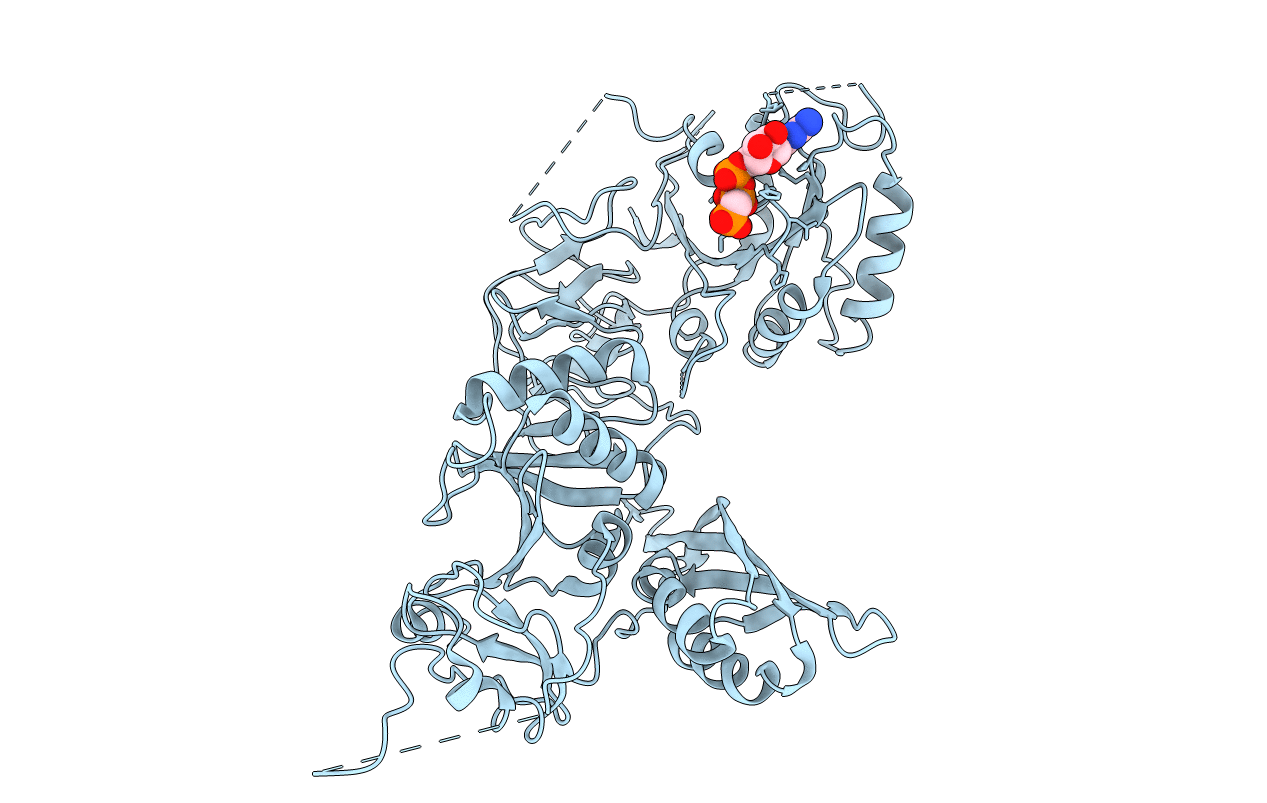 5A9W image