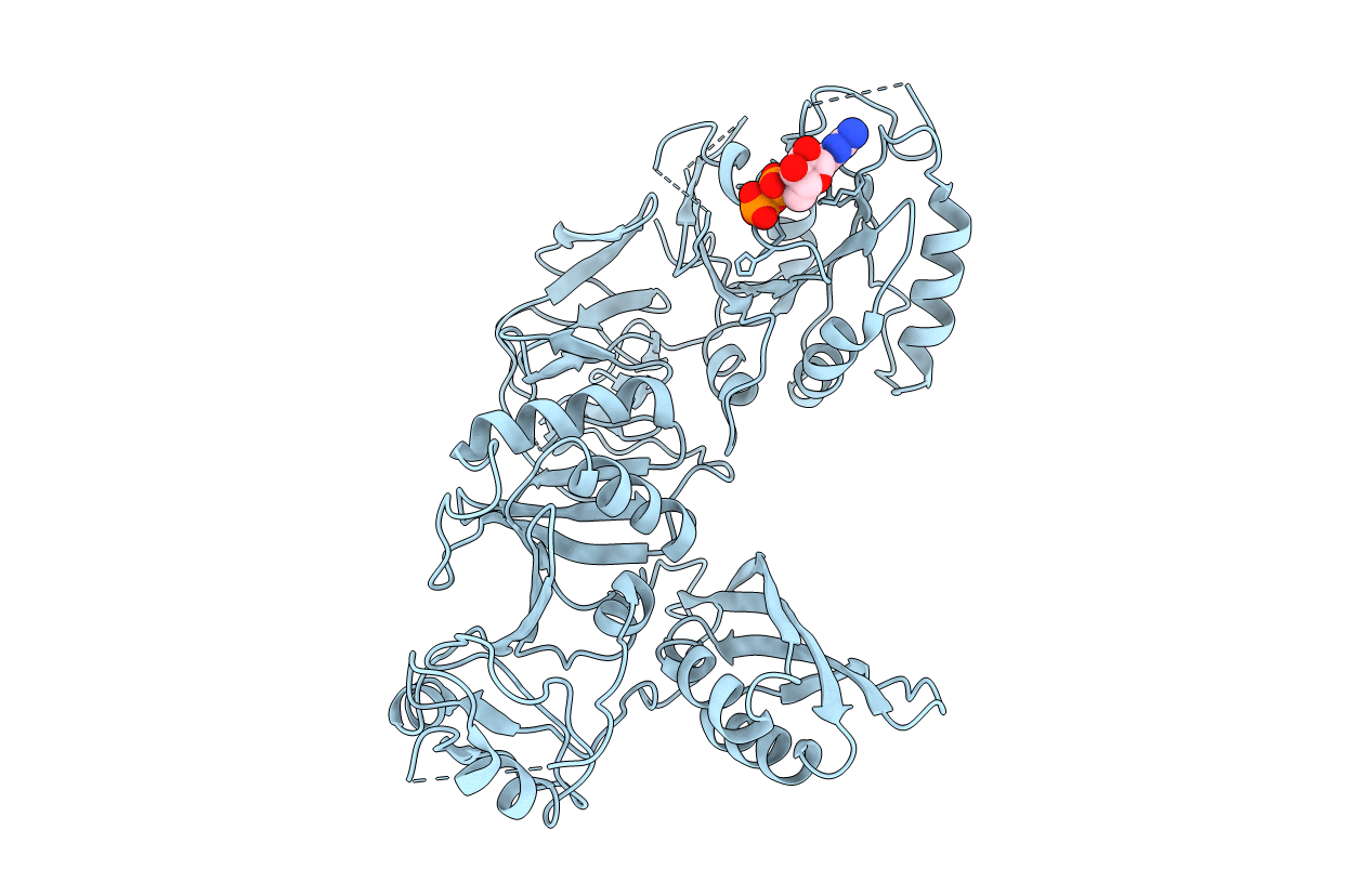 5A9X image