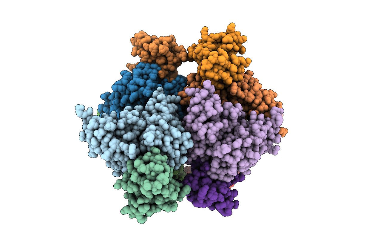 5AAW image
