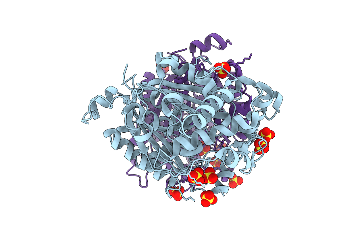 5AB5 image