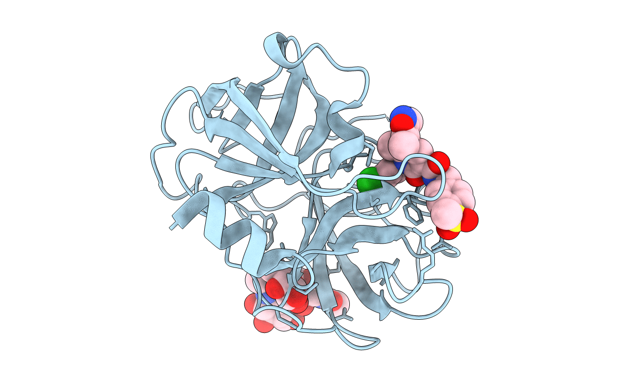 5ABW image