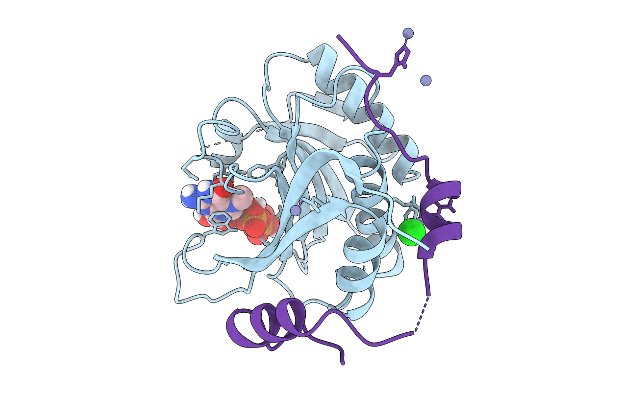 5ABX image