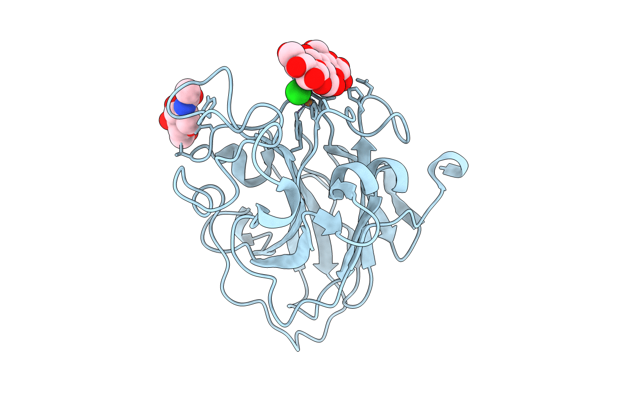 5ACF image