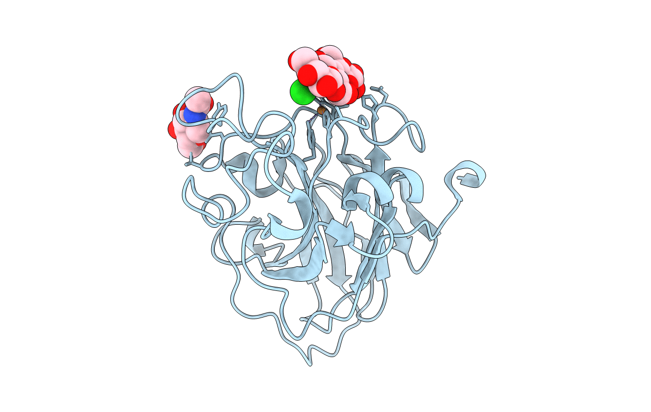 5ACJ image
