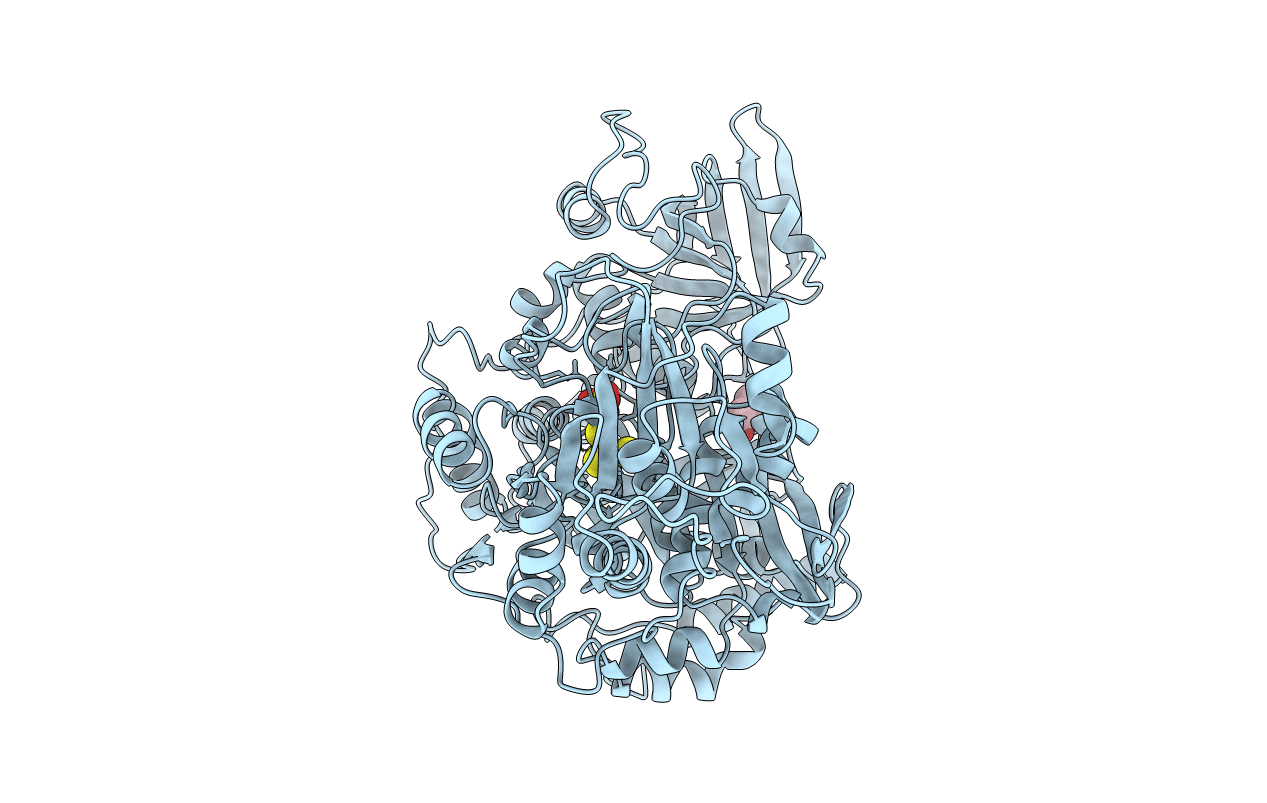 5ACN image