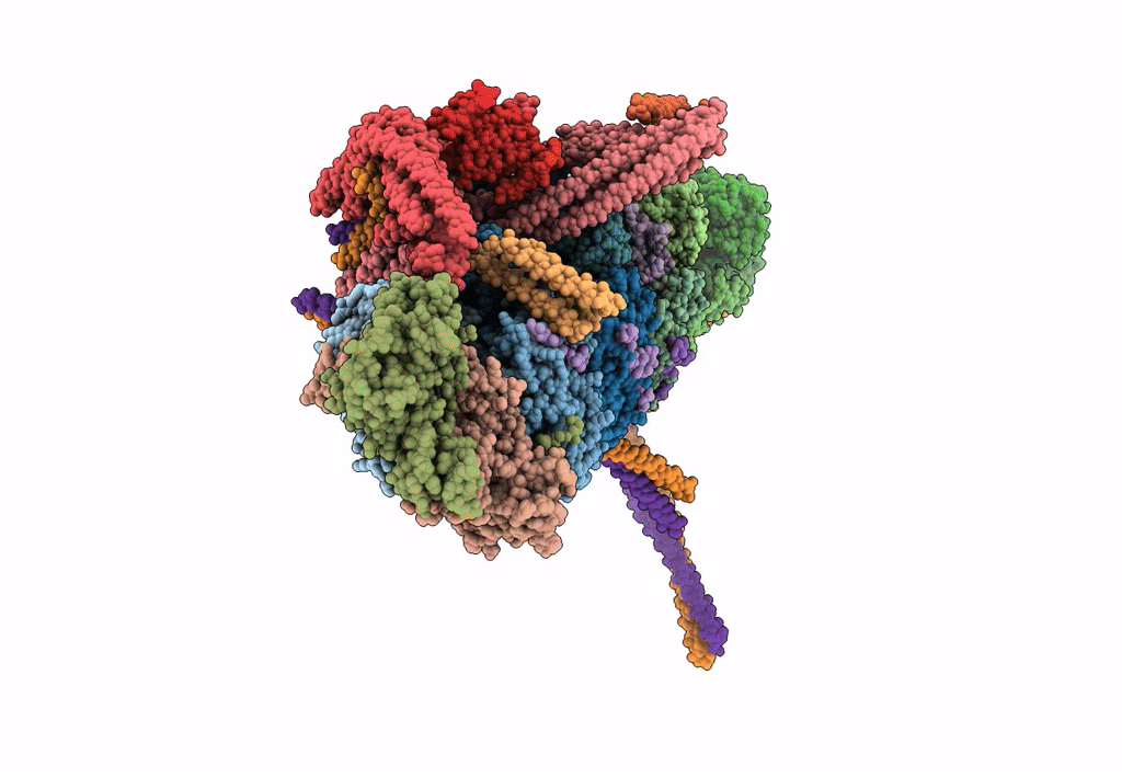 5ADX image