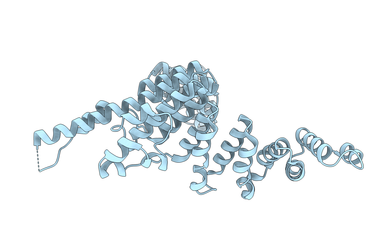 5AEM image
