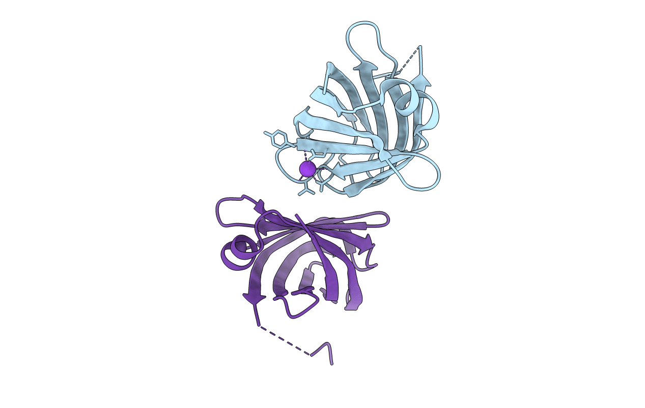 5AEO image
