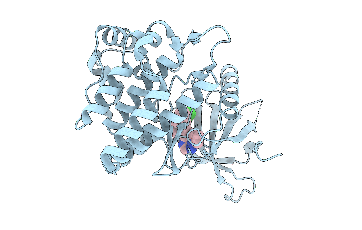 5AEP image