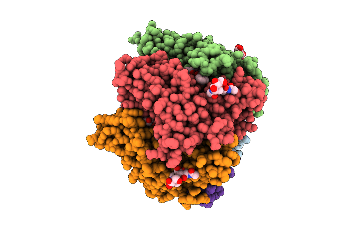 5afm image
