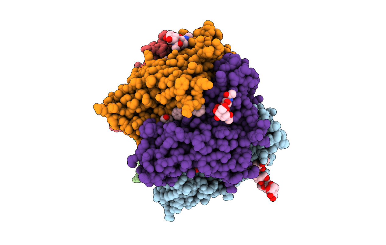5AFN image