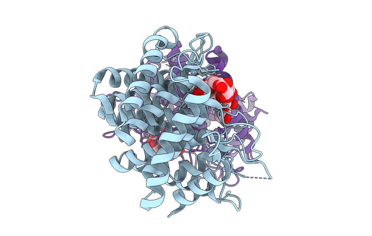 5AGD image