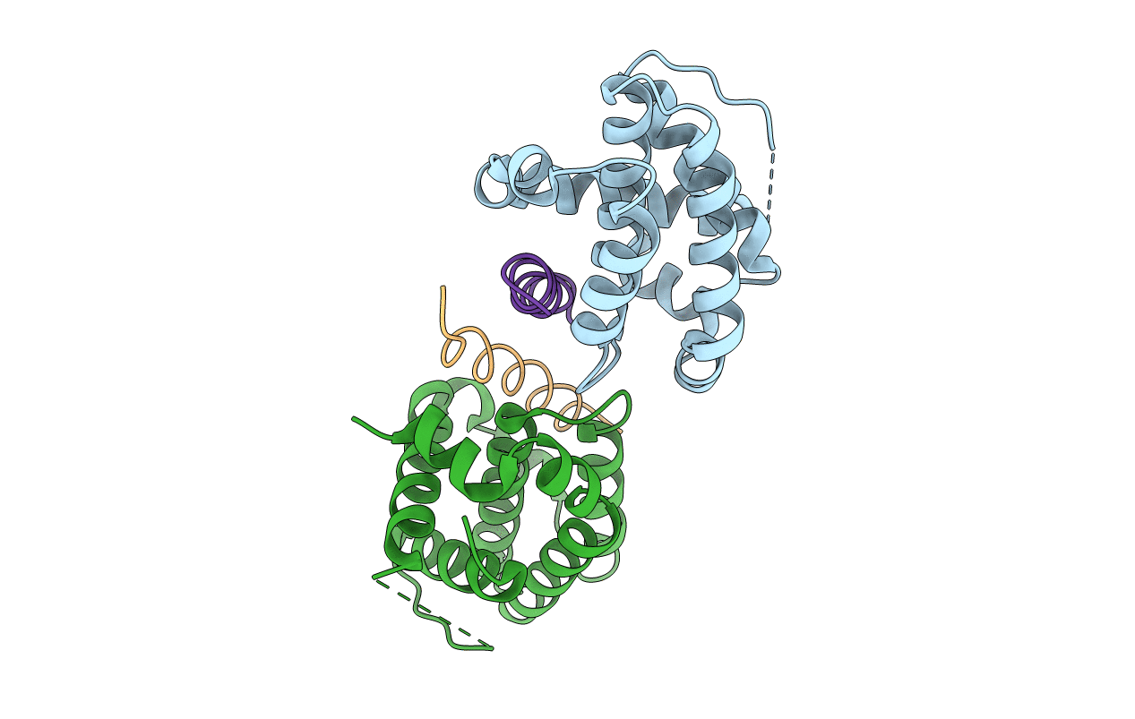 5AGX image