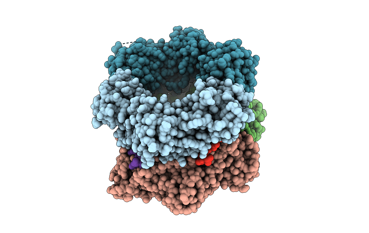 5AH2 image