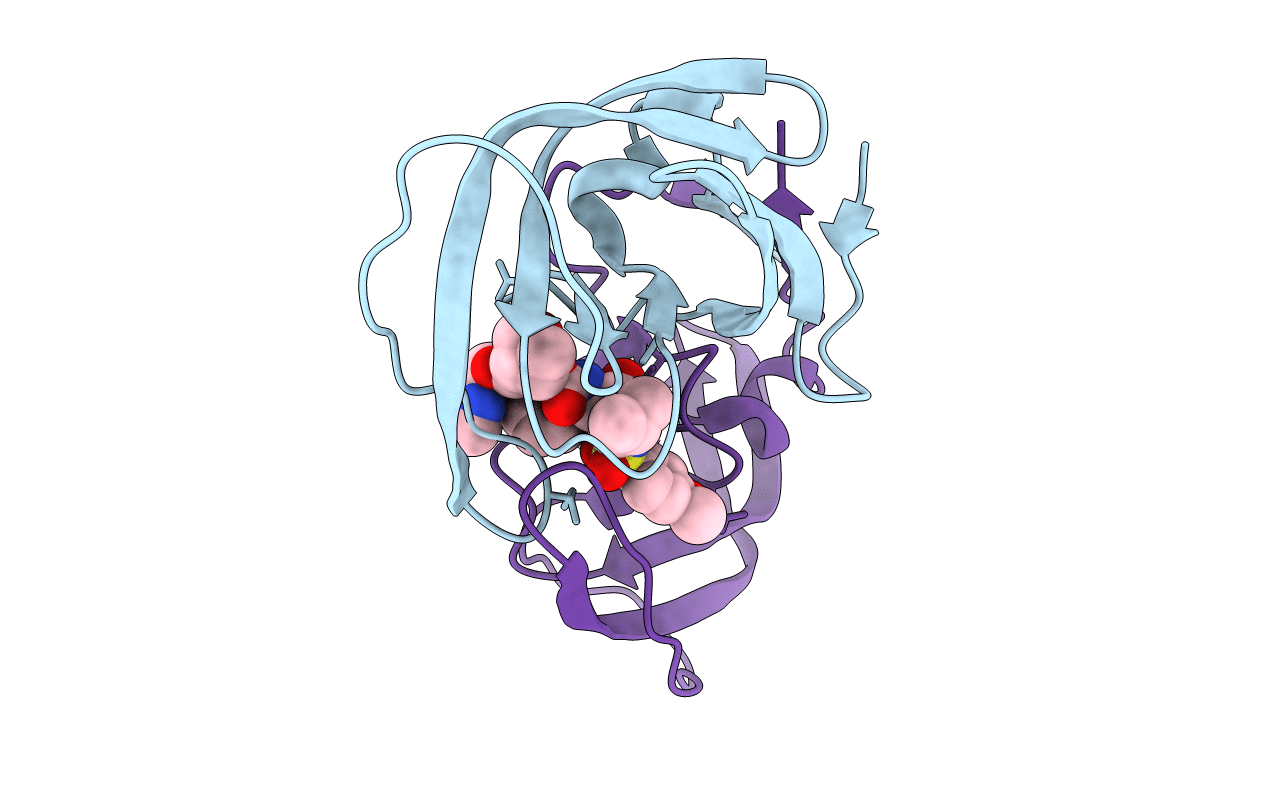 5AHC image