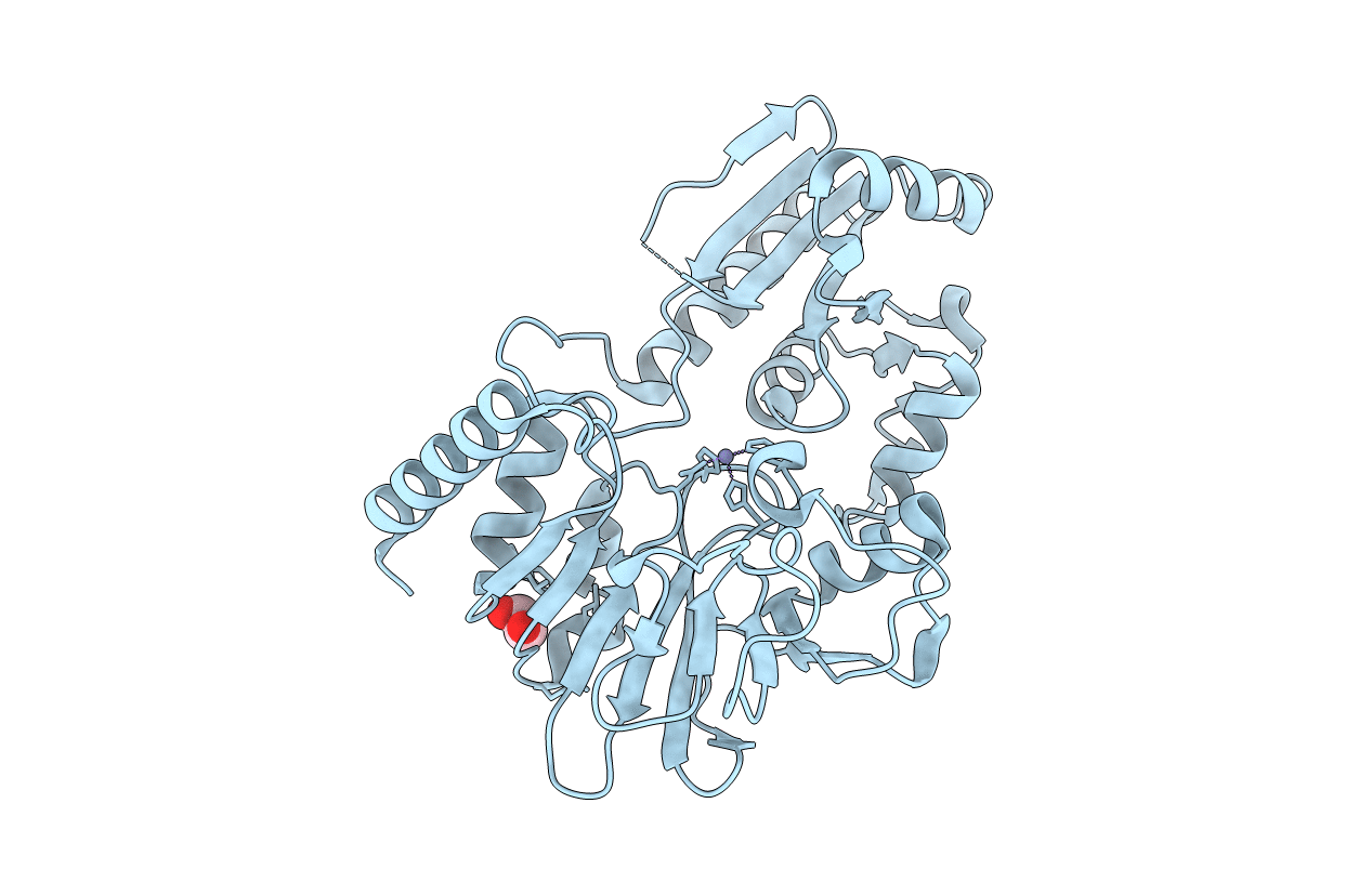 5AHR image