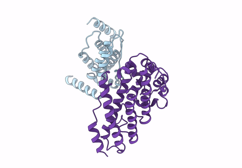 5AHV image