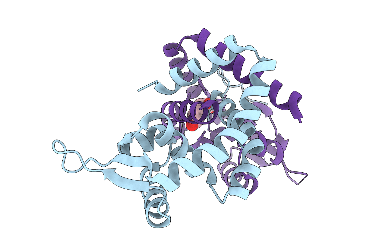 5AIP image