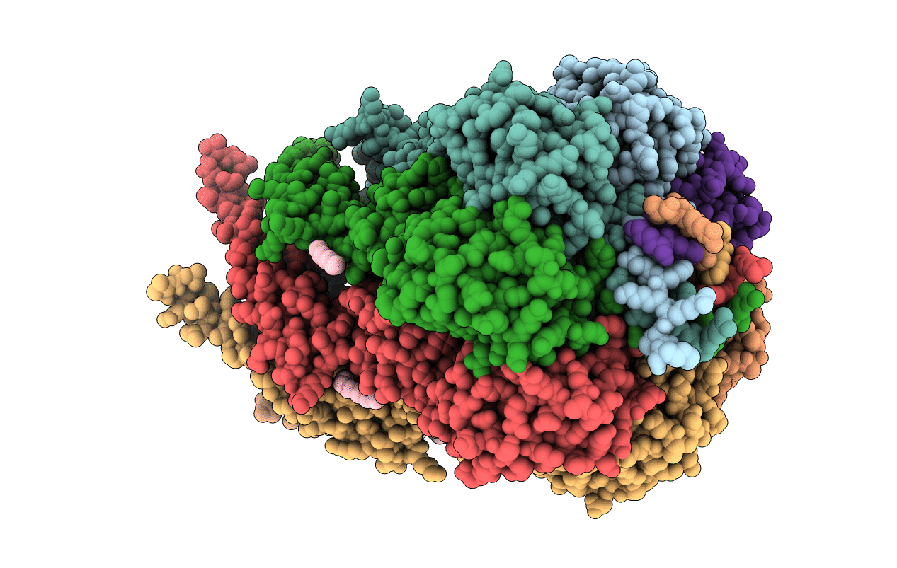5AJI image