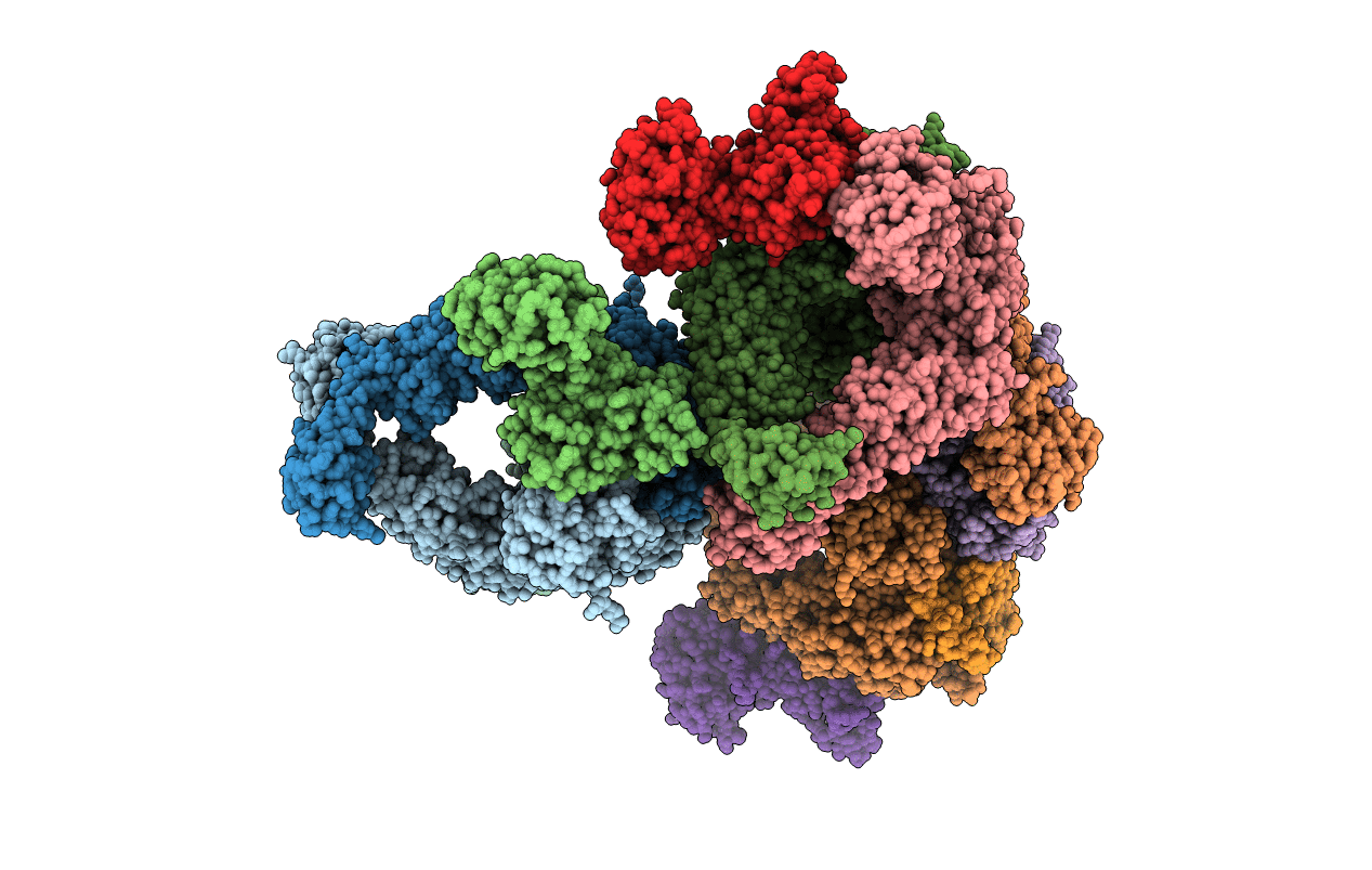 5AKC image