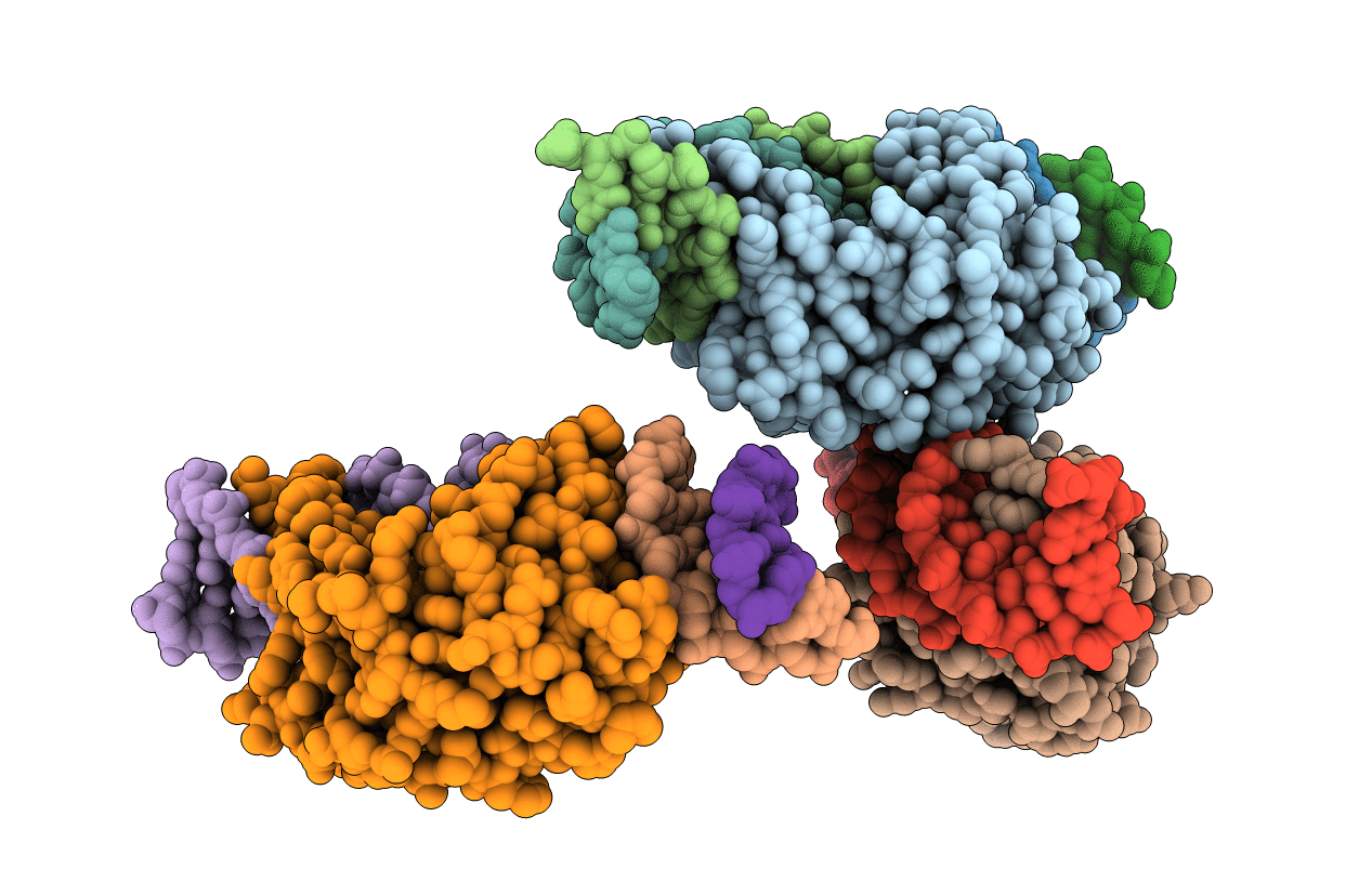 5AKN image