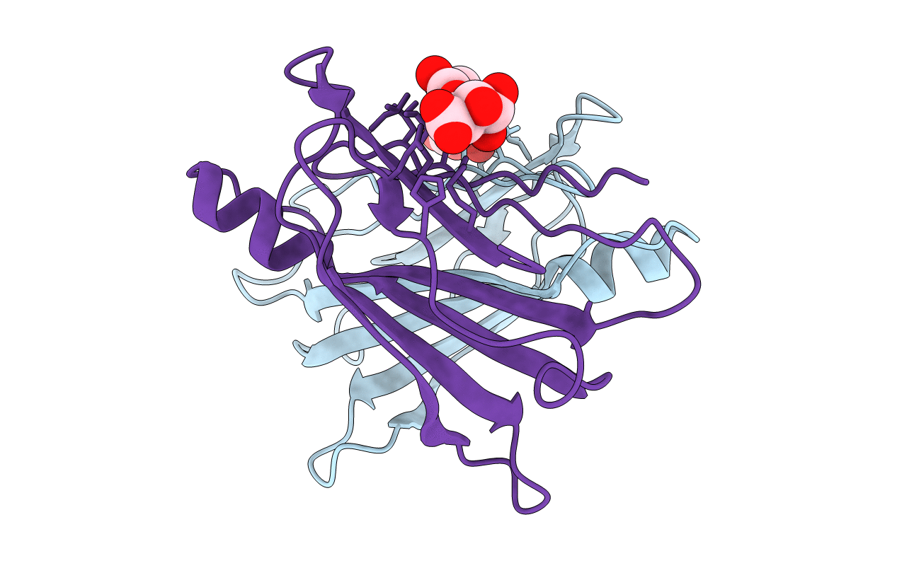 5AKV image