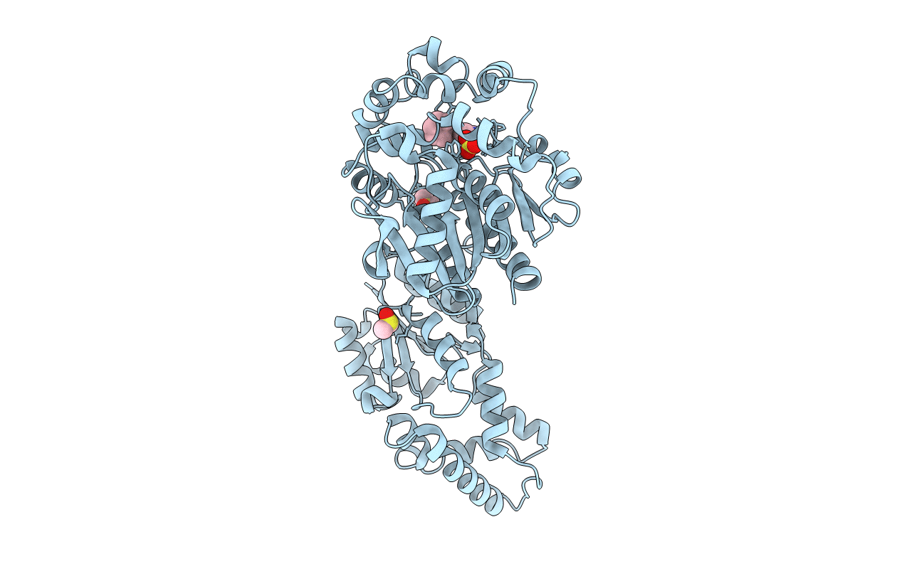 5ALD image