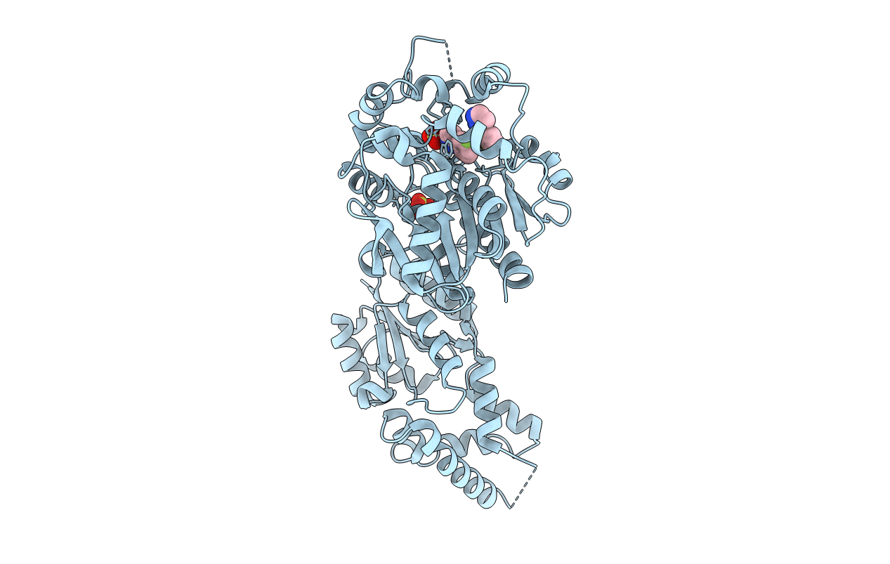 5ALV image