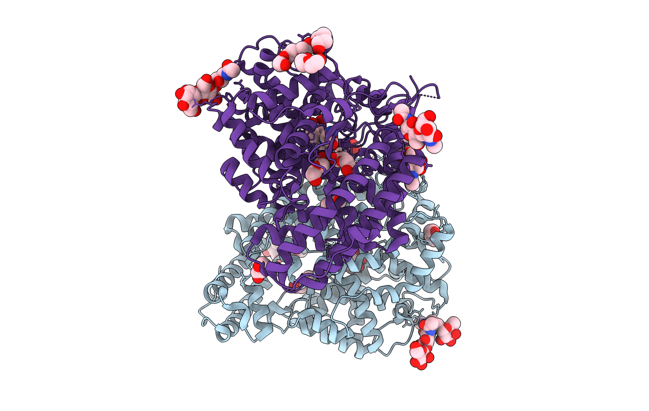 5AMC image