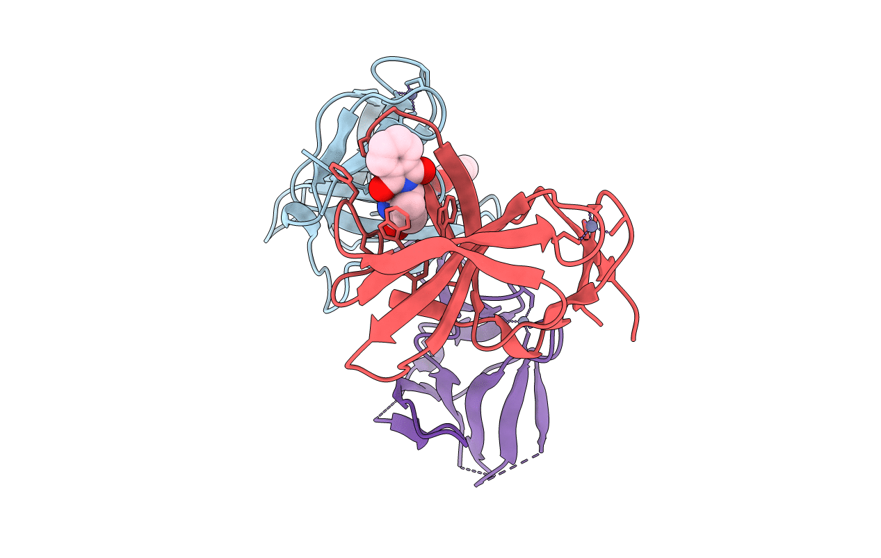 5AMI image