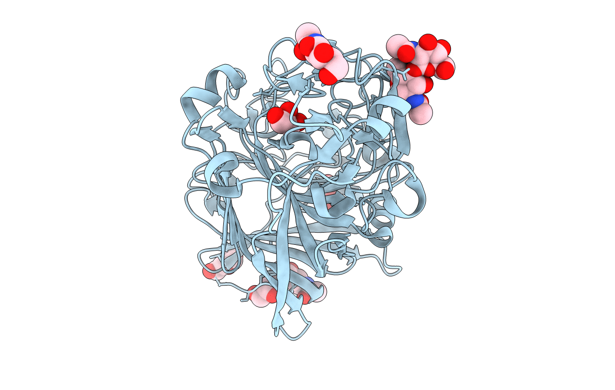 5AMP image