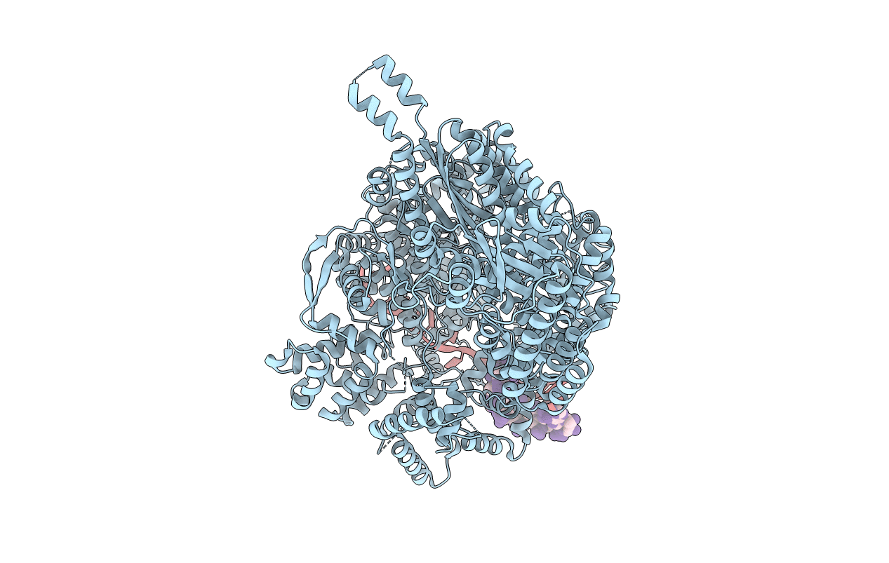 5AMR image