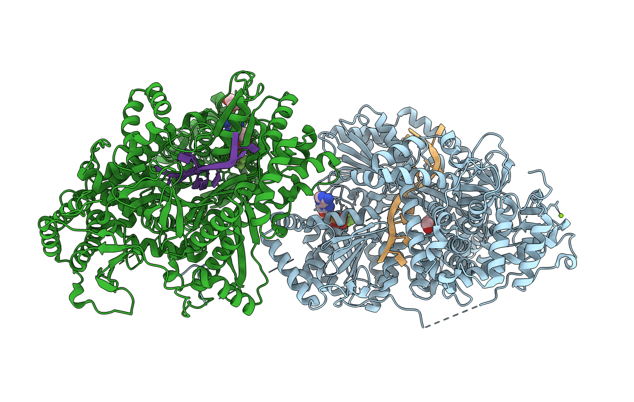 5AOR image