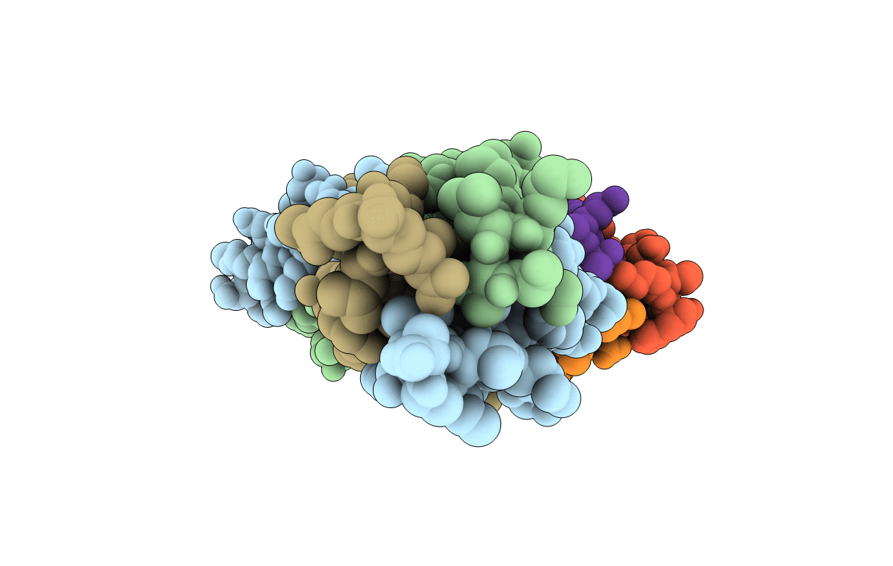 5APV image