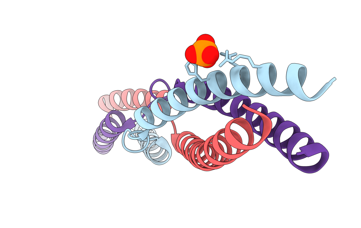 5APX image