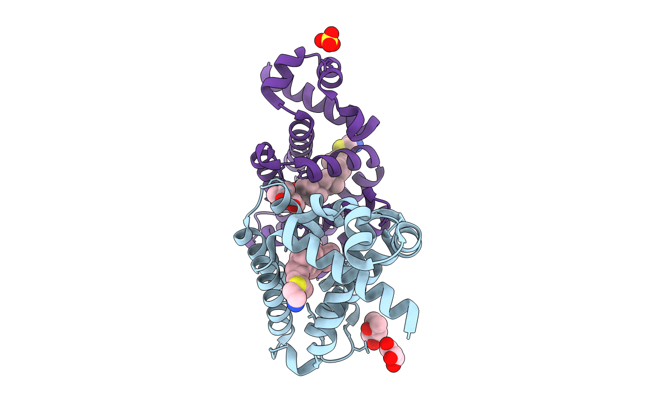5AQC image