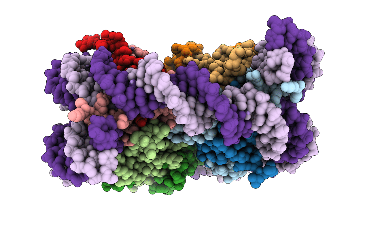 5AVC image