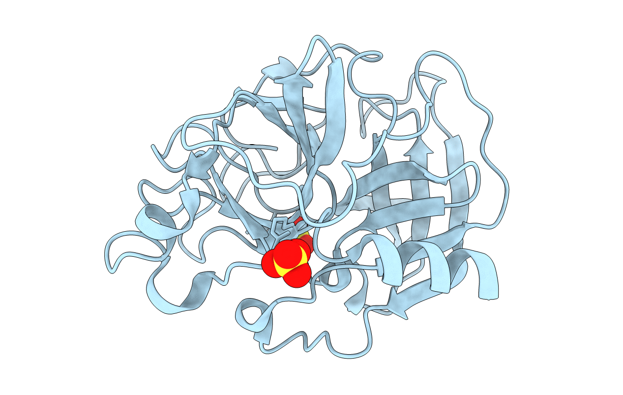 5AVD image