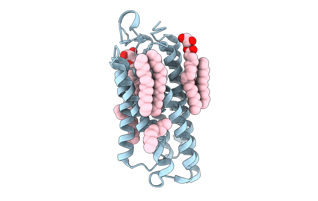 5AX1 image