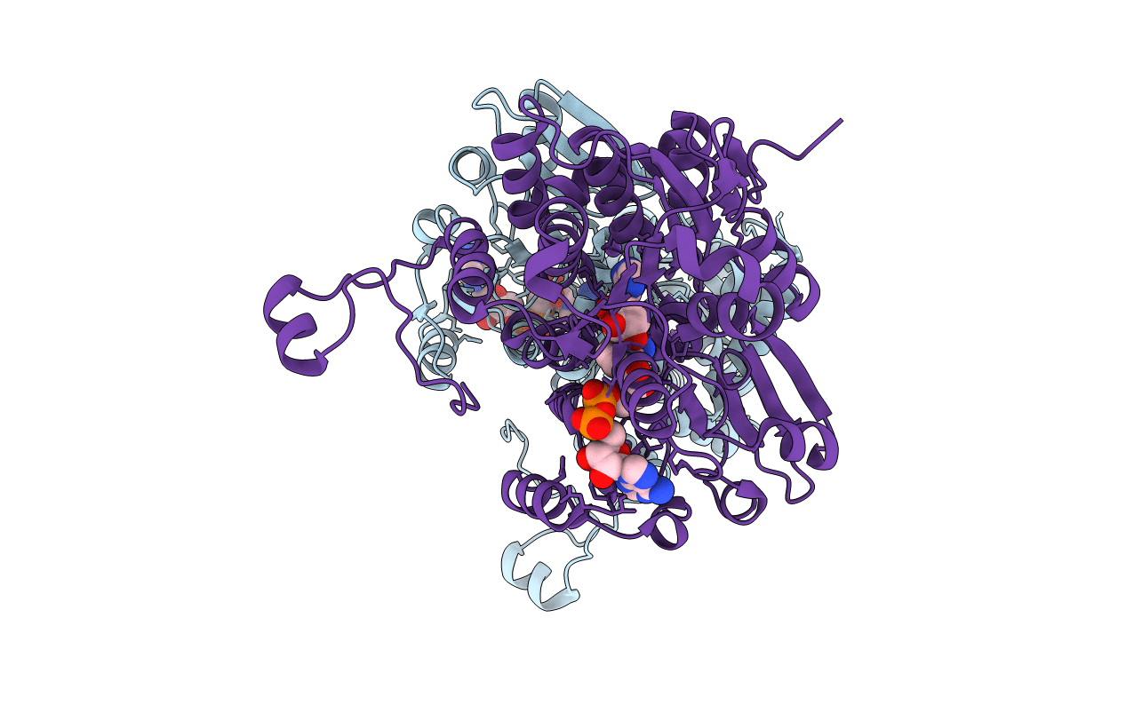 5AXB image