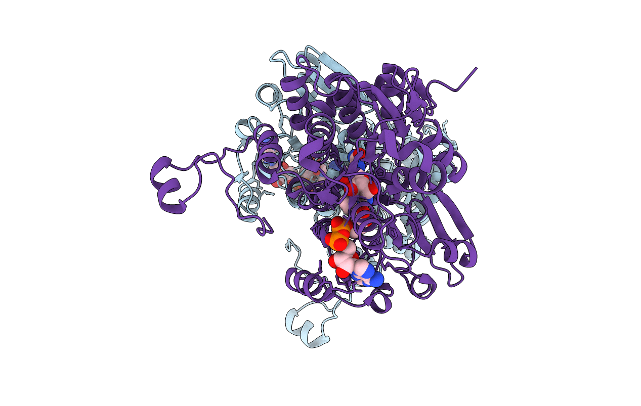 5AXD image