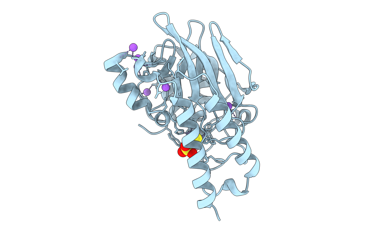 5AXR image