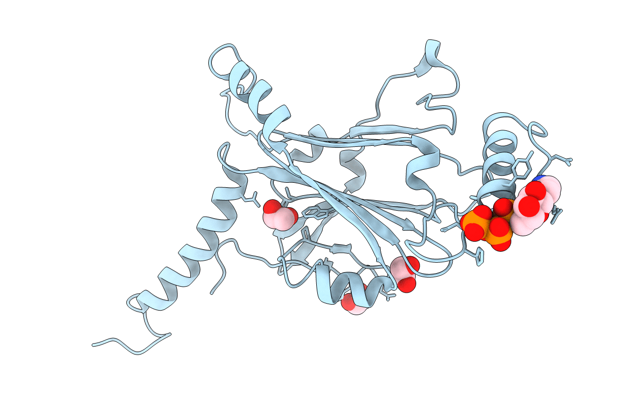 5AXV image