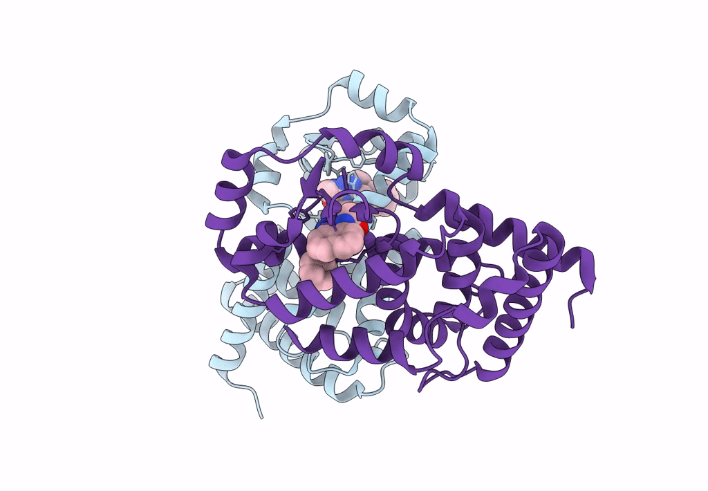 5AYG image