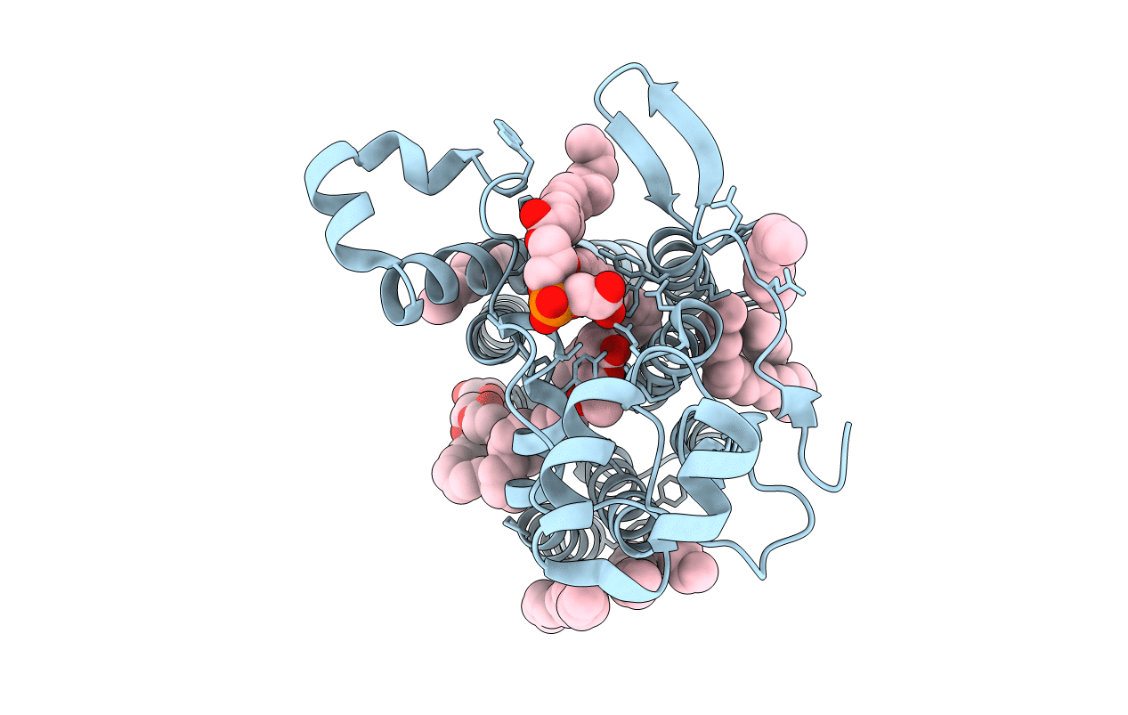 5AZC image