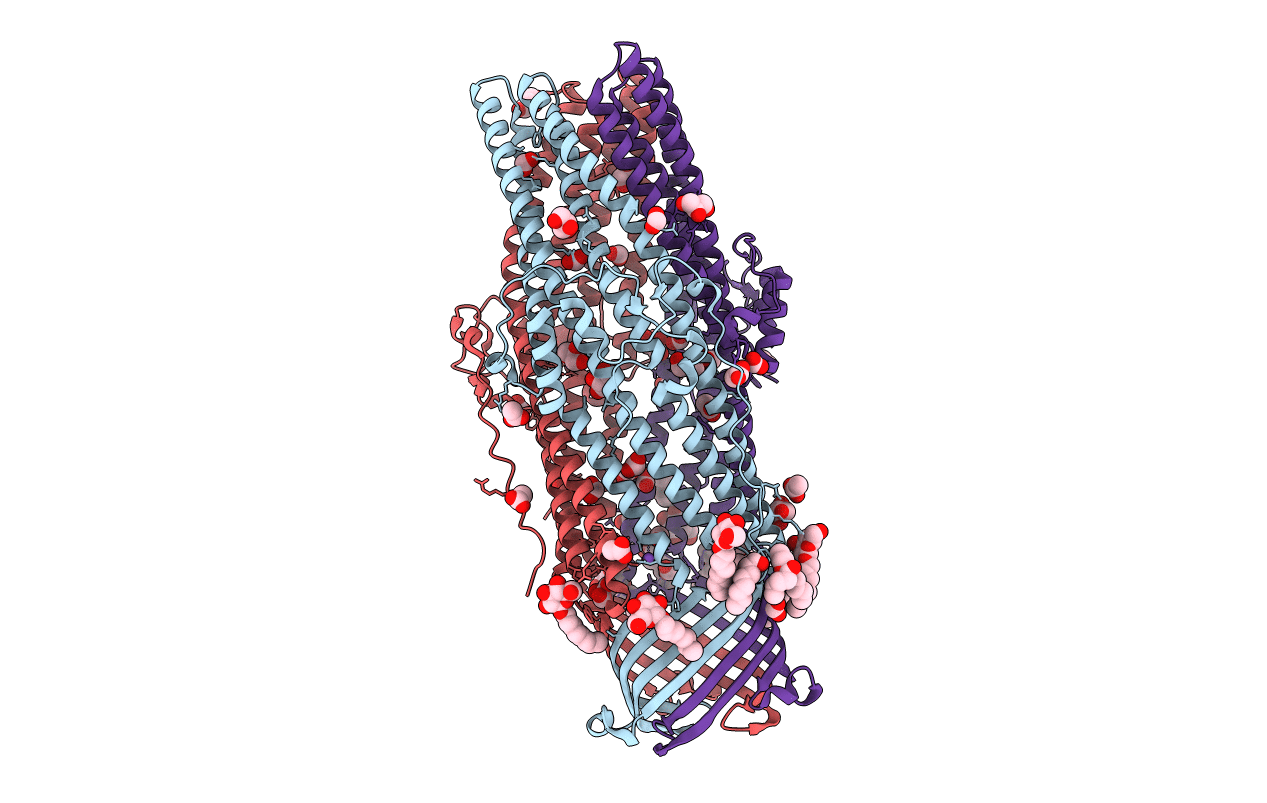5AZP image